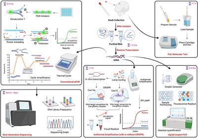 Review of Current COVID-19 Diagnostics and Opportunities for Further Development